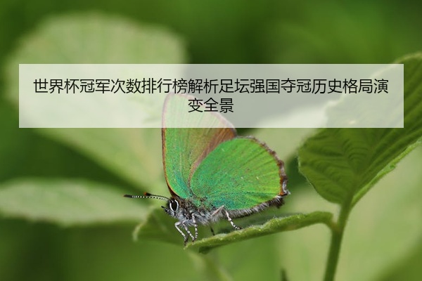 世界杯冠军次数排行榜解析足坛强国夺冠历史格局演变全景