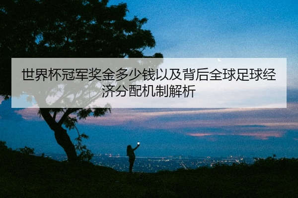 世界杯冠军奖金多少钱以及背后全球足球经济分配机制解析