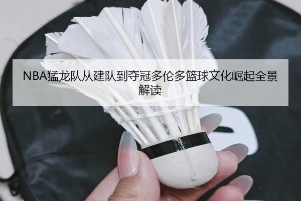 NBA猛龙队从建队到夺冠多伦多篮球文化崛起全景解读